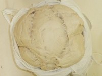 The Sour Mother Dough