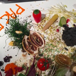 degustation de produits italiens piato de la pace chef massimo guzzone avec italyfood montecarlo salon gastronomie monte carlo 2015