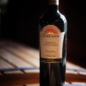 tenuta&nbsp;marrone&nbsp;wine&nbsp;italyfood&nbsp;montecarlo&nbsp;2